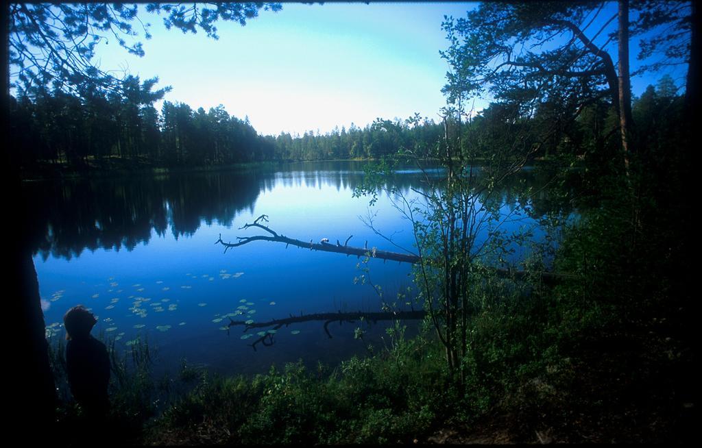 Manamansalo Camping Екстериор снимка