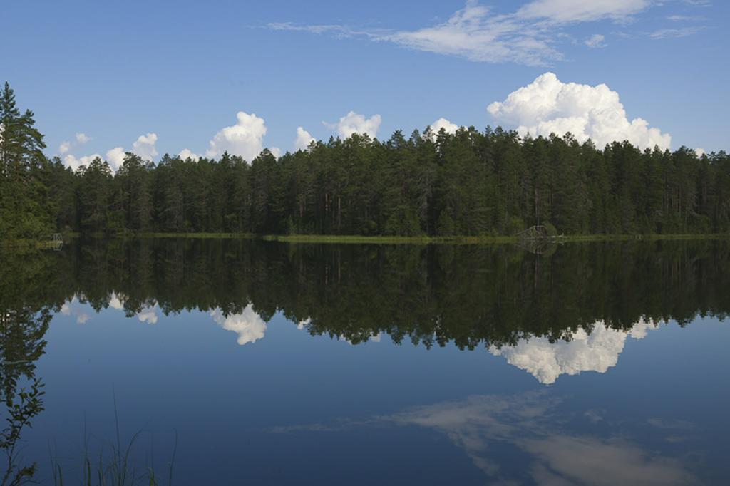 Manamansalo Camping Екстериор снимка