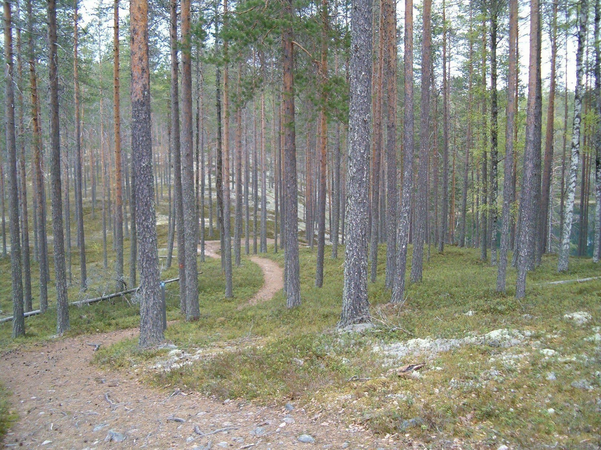 Manamansalo Camping Екстериор снимка